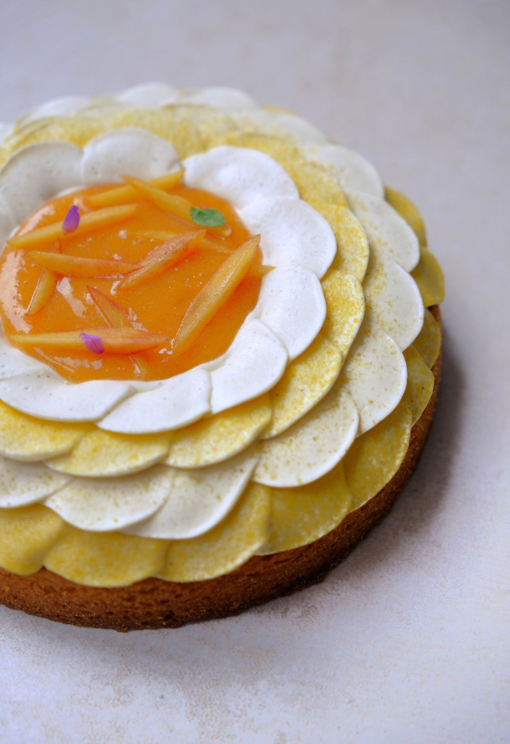 Tarte à l'abricot